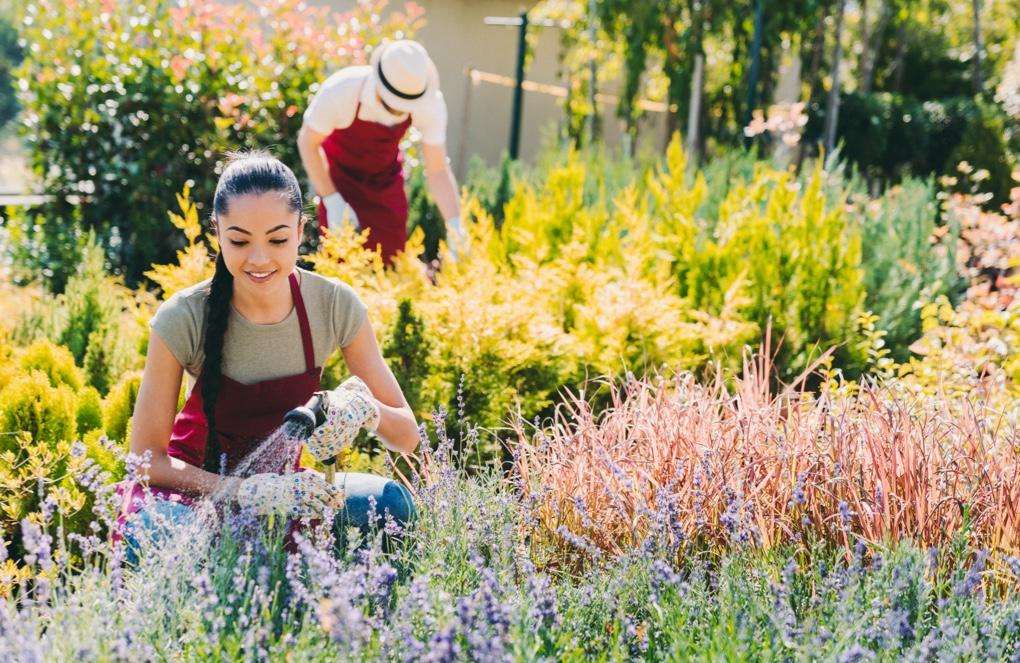 Family landscaping business Family landscaping business