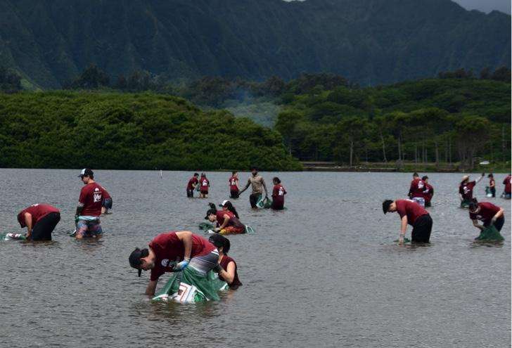Paepae o He'eia Paepae o He'eia